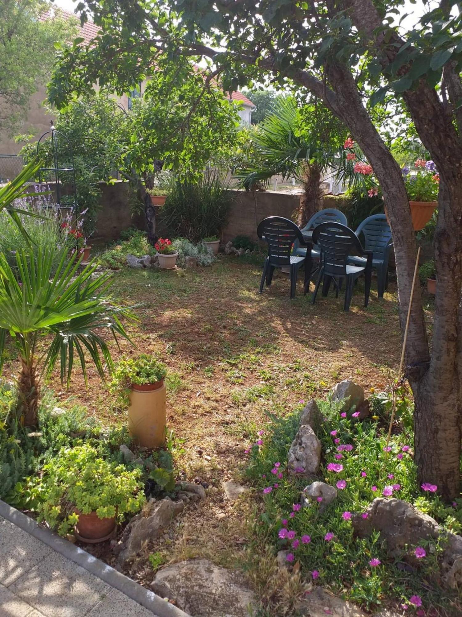 Rural Apartment Ante Drniš Exteriör bild