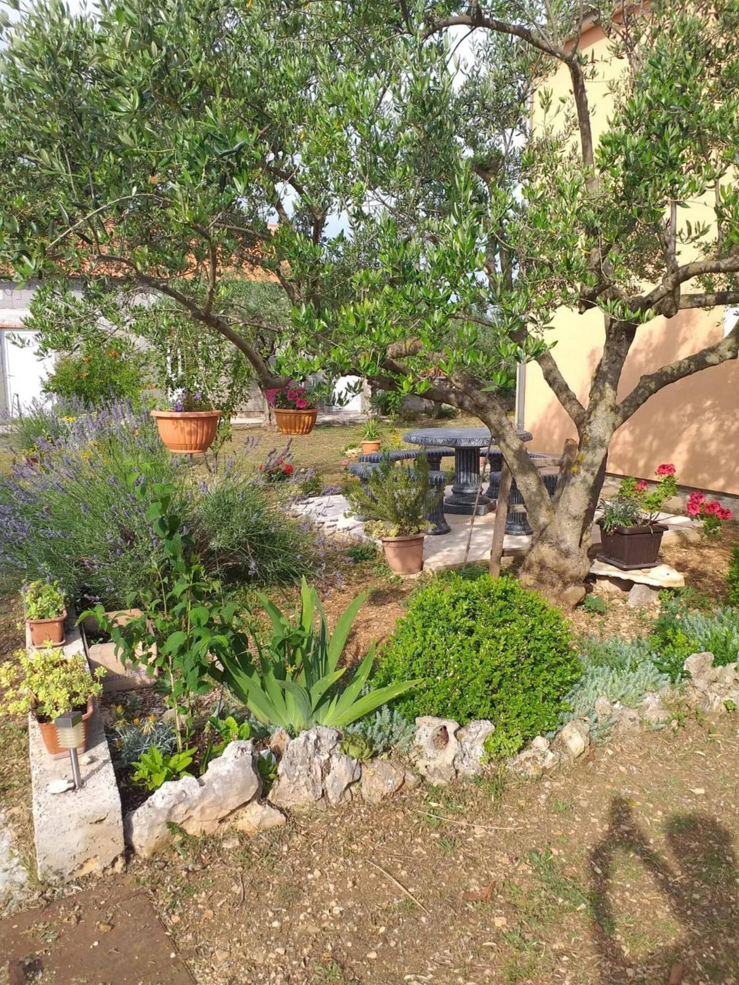 Rural Apartment Ante Drniš Exteriör bild